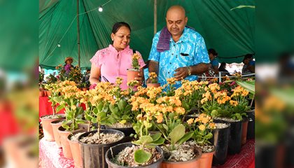 Love For Flowers Leads To Livelihood