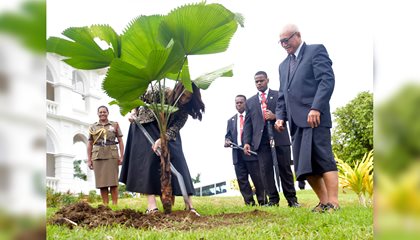 NZ PM Plants Fan Palm at State House