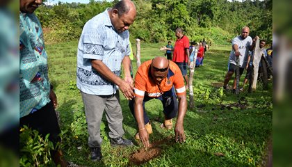 30 Million Trees In 15 Years